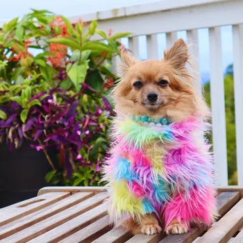 Dizajn Luksuzna odjeća za pse za male pse, Jakna i Kaput Odjeća Poliester Zimski Fluffy Rainbow Odijelo za pse Pribora