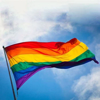 Zastava LGBT Duginih Zastava Lezbijskih i Gay-Parada Bannere, Zastave Ponosa LGBT Poliester Šarene Rainbow Zastava za Ukras 4